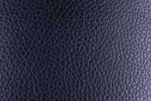 Capture0019-2.jpg